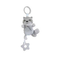 Raccoon